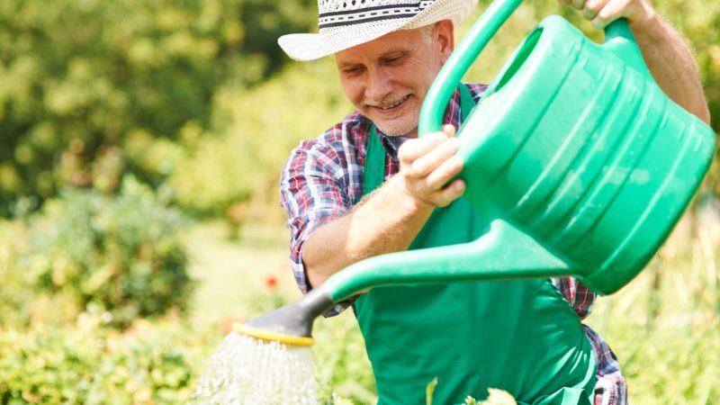 Gardening for seniors - tips and benefits