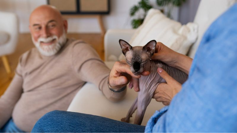 Pet therapy: How animals can benefit seniors